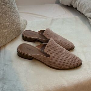 Indigo Rd. Hayze Mules